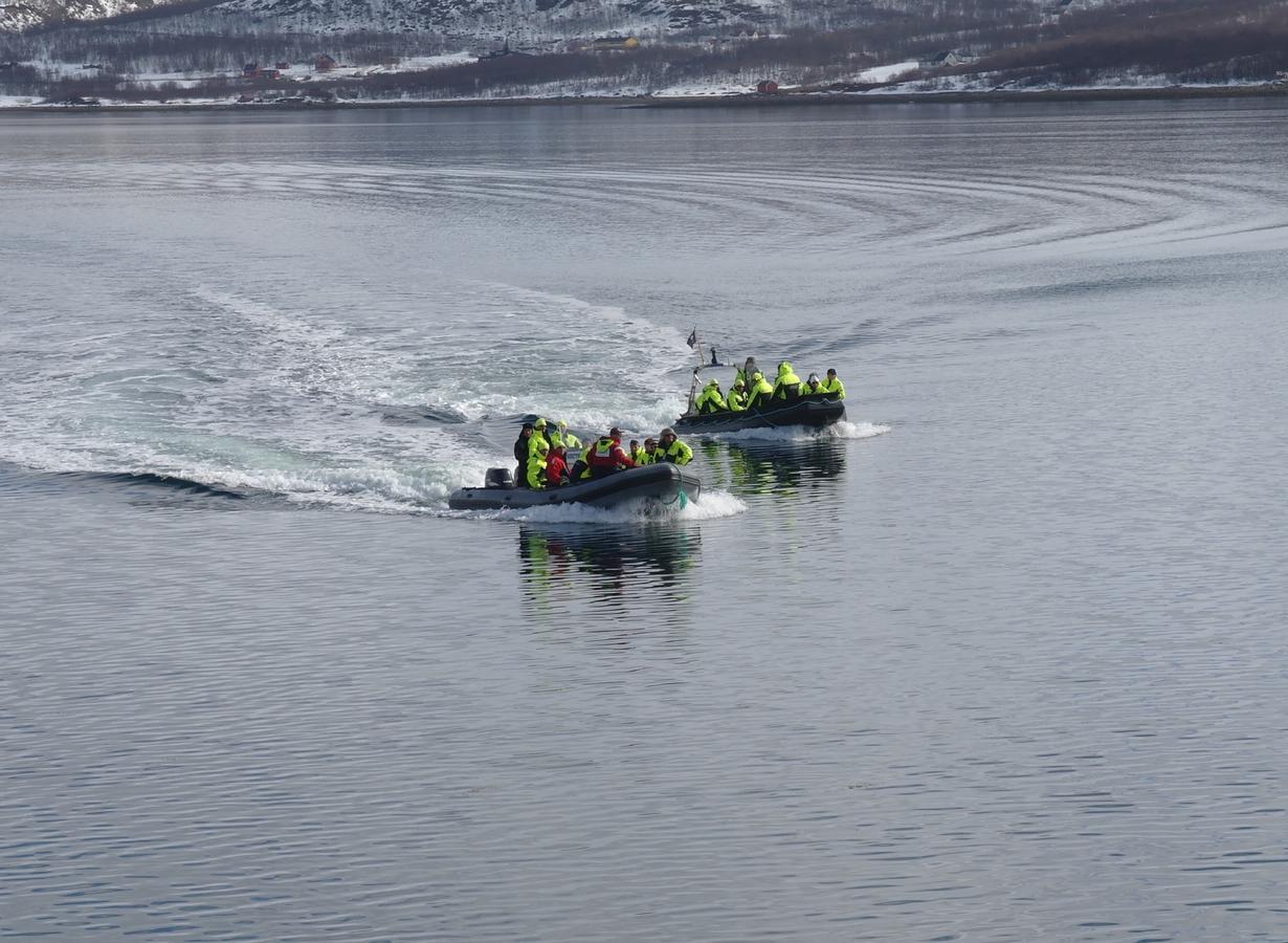 Jarfjord Arctic Aurora Lodge Karpbukt Exteriér fotografie