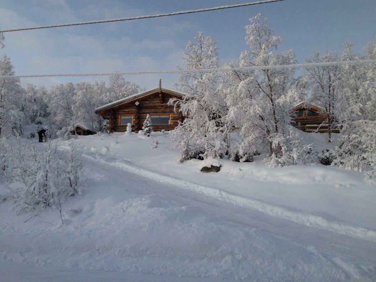Jarfjord Arctic Aurora Lodge Karpbukt Exteriér fotografie